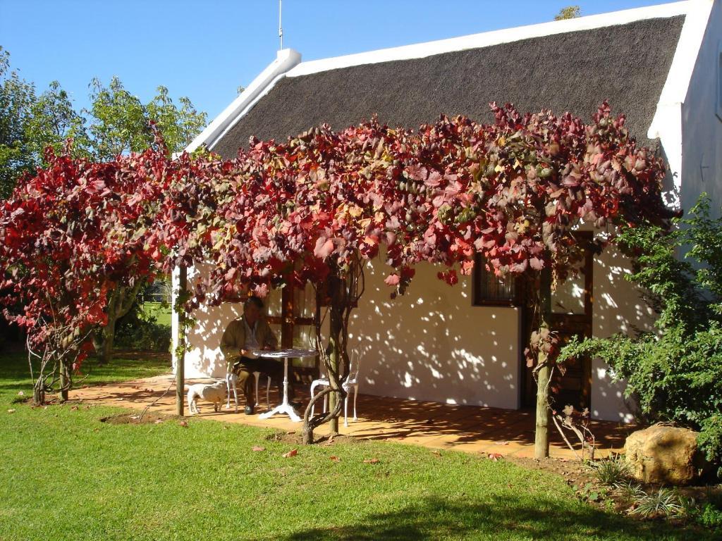 De Doornkraal Vinotel Riversdale Zimmer foto